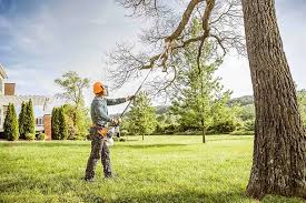 Best Tree Disease Treatment  in Hauppauge, NY