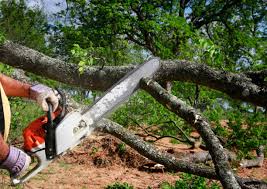 Best Storm Damage Tree Cleanup  in Hauppauge, NY