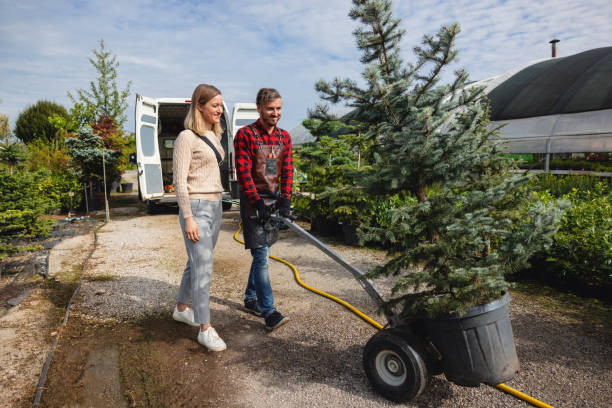 Soil Testing and Treatment in Hauppauge, NY