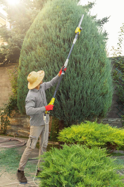 Best Lawn Watering Services  in Hauppauge, NY
